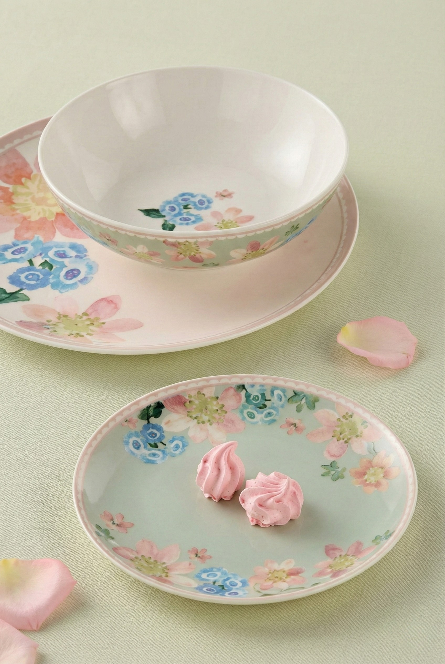 Primula Collection
