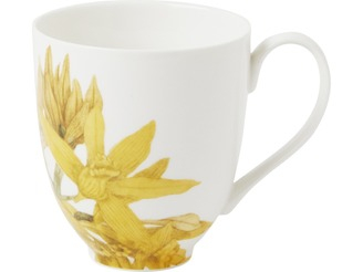 Maxwell & Williams Royal Botanic Gardens Australian Orchids Mug 350ML Yellow Gift Boxed