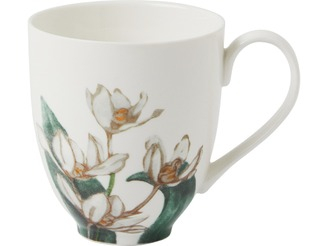 Maxwell & Williams Royal Botanic Gardens Australian Orchids Mug 350ML White Gift Boxed